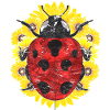 Animal Motif Gift Sunflower Ladybug