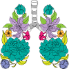 a lung of roses