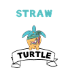 Fun Gift Summer Beach Turtle