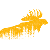 Élan