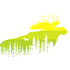 Elk