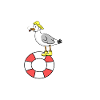 Moin - Möwe
