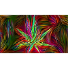 Trippy Weed