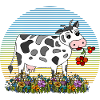 Vache