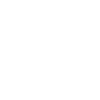 20 number crown