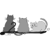 Chats
