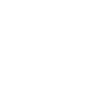 21 Number crown