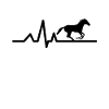 Reiten