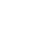 42 Number crown