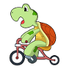 Turtle with bicycle