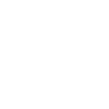 Drone Pilot