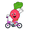 Radishes with bicycle