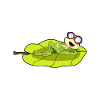 Frog with sunglasses