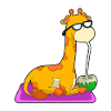 Giraffe with coconut