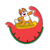 Chat comme surfeur avec pastèque