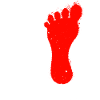red left foot