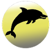 Dolphins