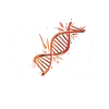Crazy Stem Lady - Steministe
