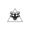 Koala Bear Muscles Triangle