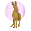 Hare Moon