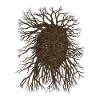 The Winter Green Man