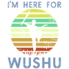 I'm here because of Wushu