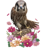 Kestrel