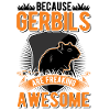 Gerbil Gift Racing Rat Germesau