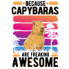 Capybara Cadeau Capibara Capybara