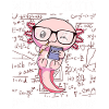 Funny Math Kawaii Axolotl Gift