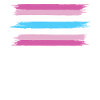Femboy Flag Gift