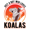 Koala Jeune Ours Koala