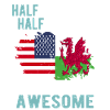 Half American Half Welsh