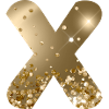 Customizable Monogram X Gold Glitter