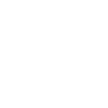 100% végétalien