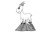 Bock auf Berge - Ziege Ziegenbock