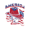 america cowboy skull