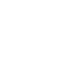 Dart