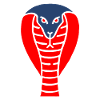 Symbole d’un serpent cobra indien