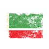 Chechen Republic Flag Distressed