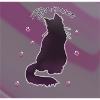 Mon doux chat