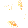 Monarch butterfly