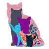 Cat Collage