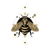 Beekeepers Bees Honey Beekeeper Bee
