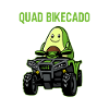 Quad Atv Motorsport
