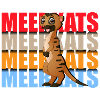 Suricate Mignon Insectivore Rock