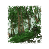 Hidden Realm