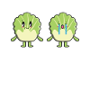 Funny Cabbage Gift