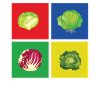 Cabbage
