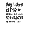 Schnauzer Hund Hundehalter